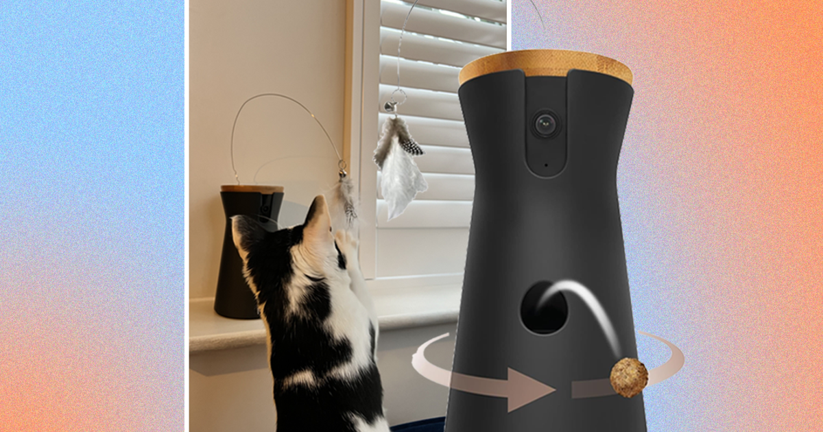 Furbo camera top for cats
